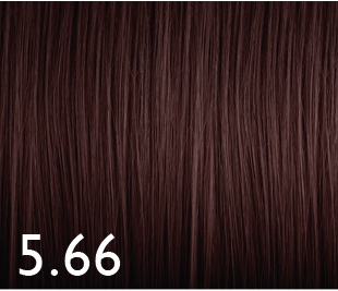 Color Genus 5.66 100ml